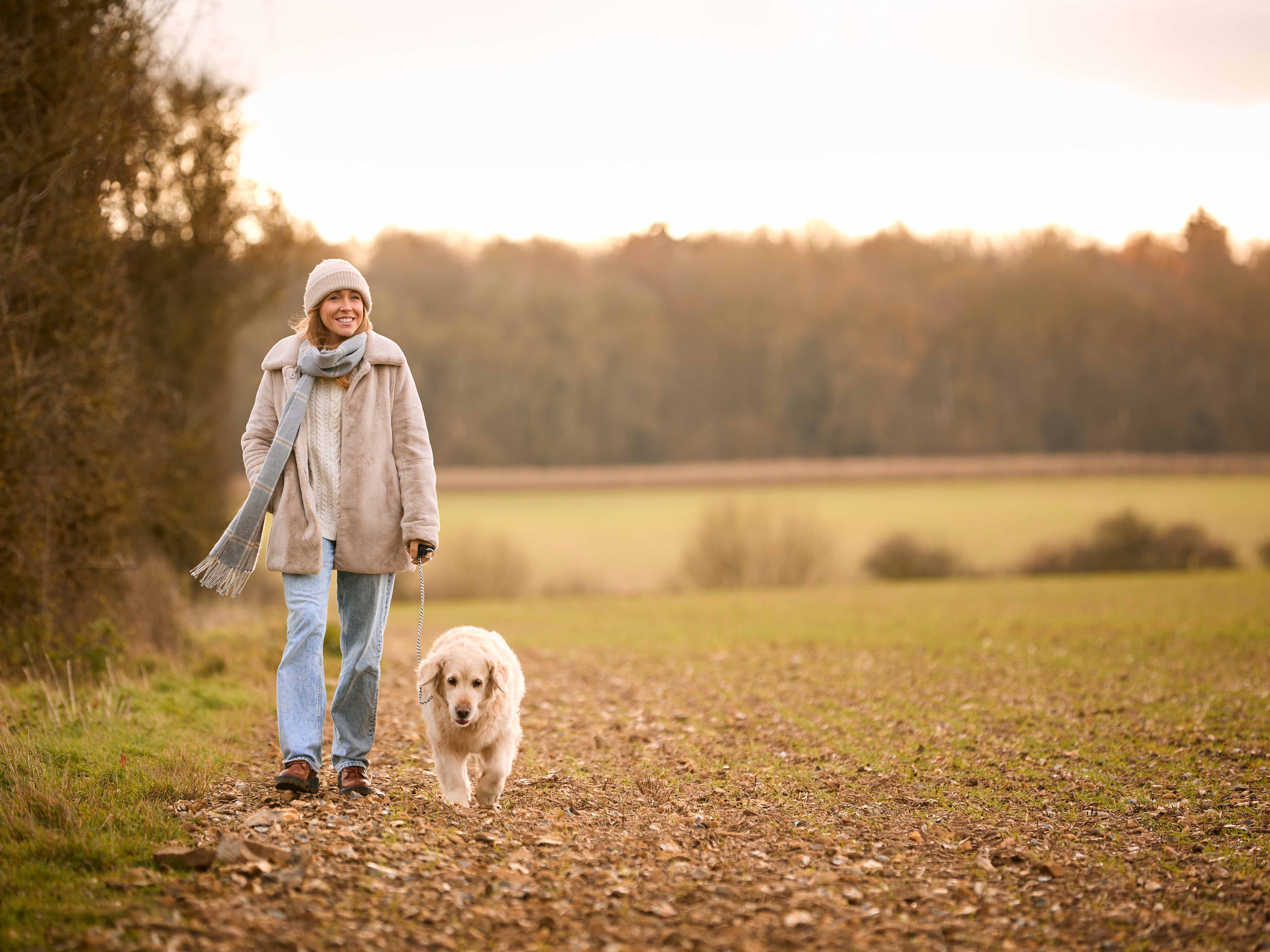 Innere Wandlung durch die geistige Tierwelt