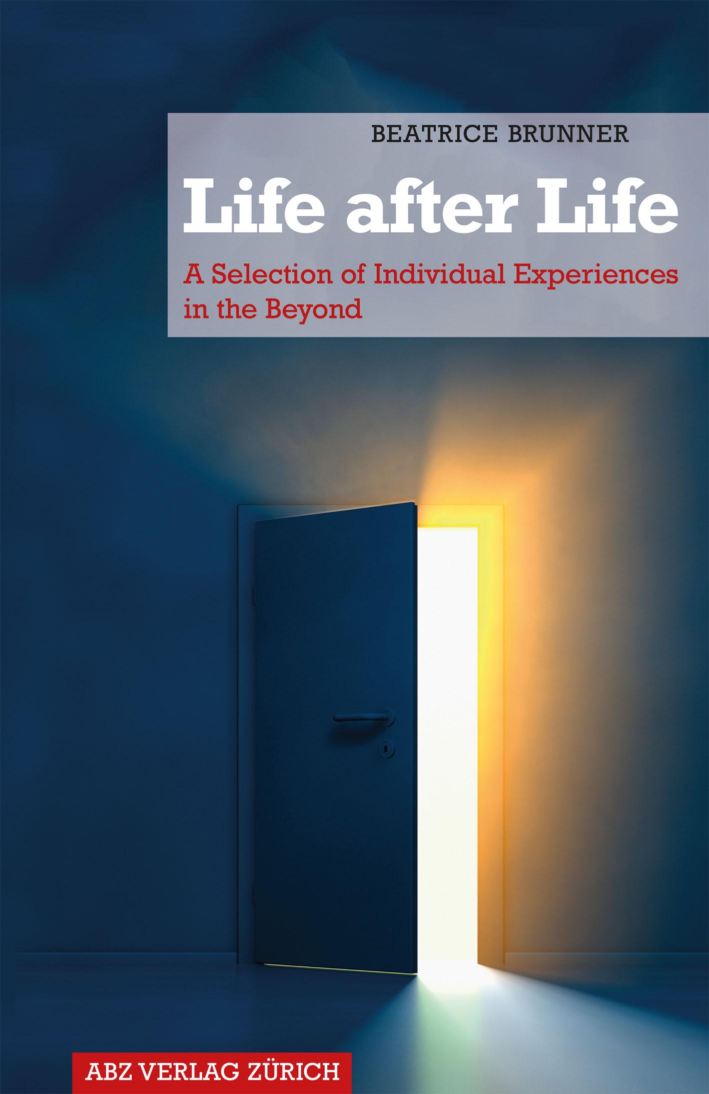 Cover of the book Life after Life by Beatrice Brunner