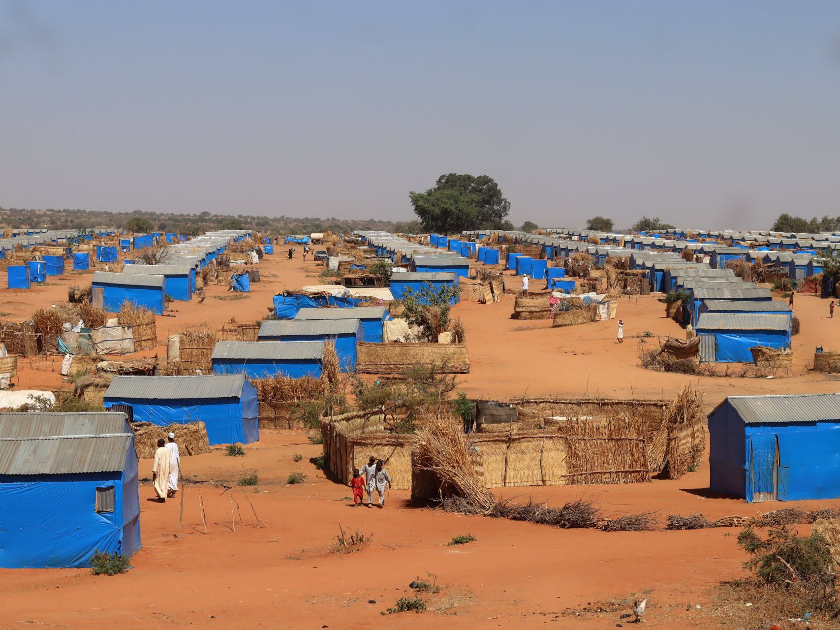 Médecins Sans Frontières, Sudan